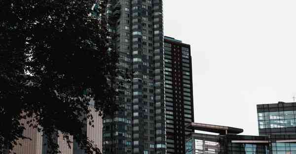 短视频账号运营人员_短视频账号运营工作