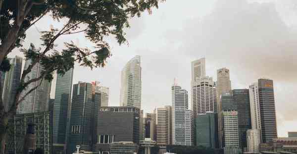 运营短视频项目交流