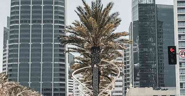 成都短视频运营培训班哪家信誉好