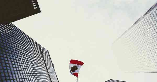 财务公司做短视频运营