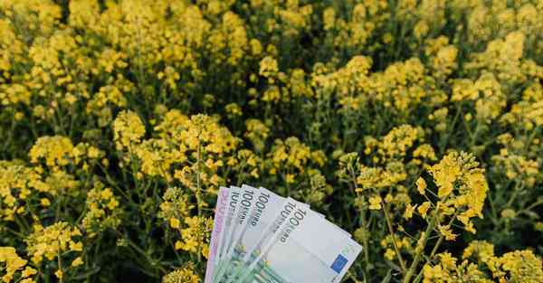 短视频运营商品包括_短视频运营商李素兰