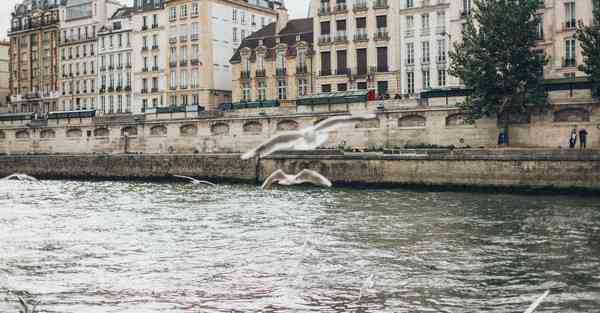 短视频运营资料推荐购买