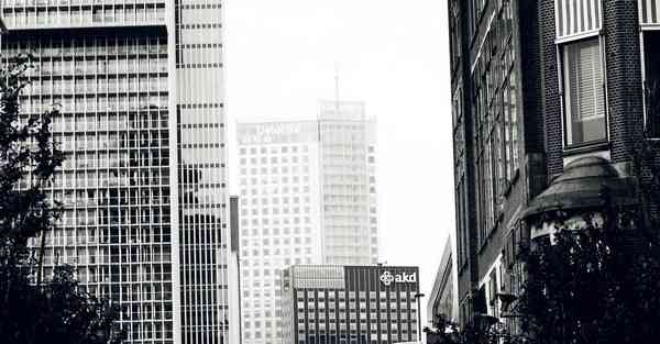 公司短视频怎样运营赚钱