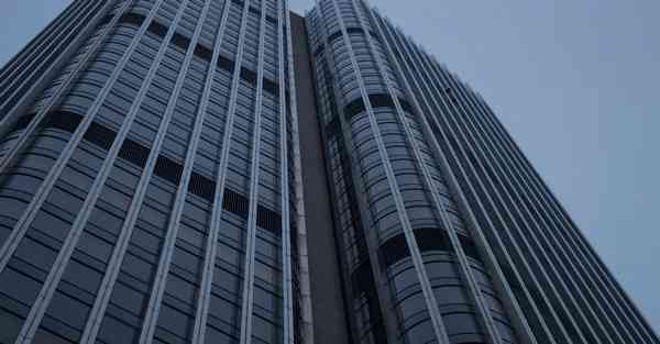 短视频代运营项目推荐_短视频代运营项目管理