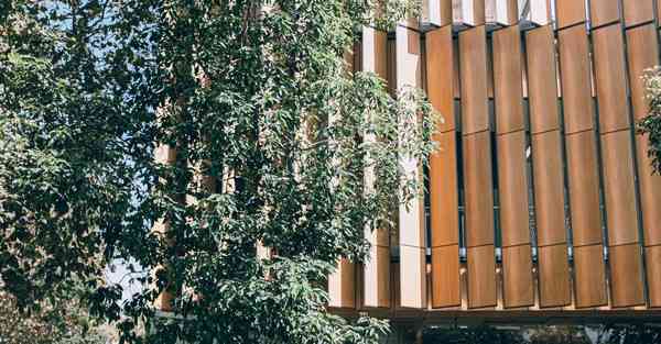 正规短视频代运营_正规短视频代运营公司排行