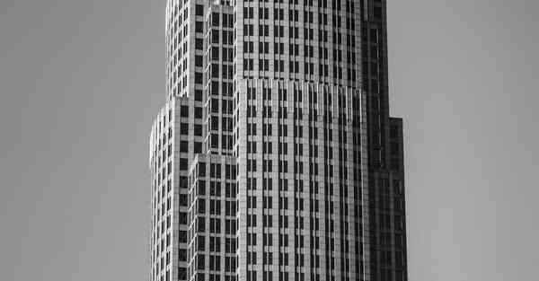 短视频运营1000字介绍