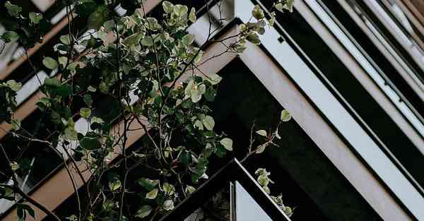 成都短视频运营培训班联系方式